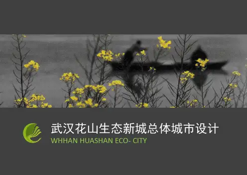 武汉花山生态新城总体城市设计