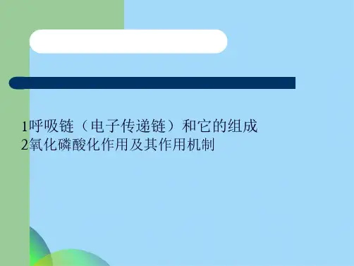 生物氧化(共50张PPT)