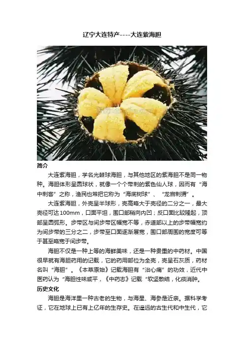 辽宁大连特产----大连紫海胆