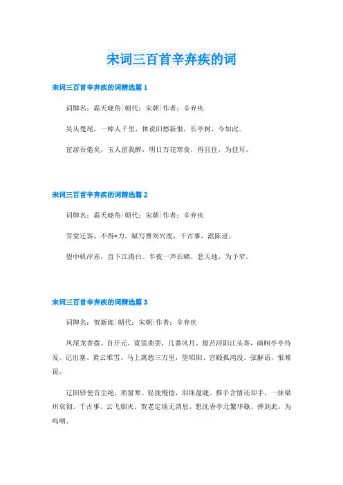 宋词三百首辛弃疾的词