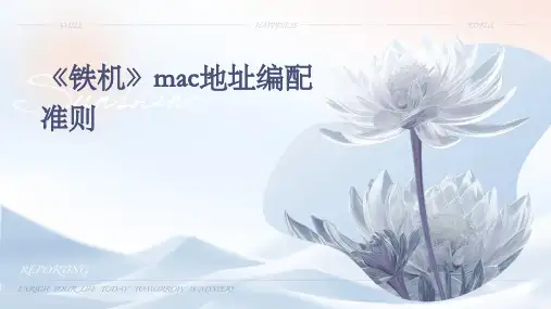 《铁机》MAC地址编配准则