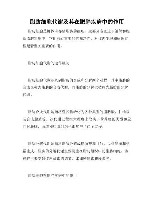 脂肪细胞代谢及其在肥胖疾病中的作用