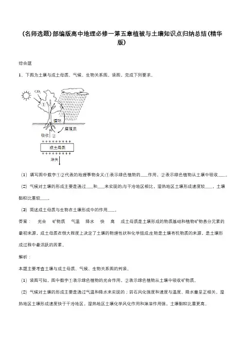 部编版高中地理必修一第五章植被与土壤知识点归纳总结(精华版)