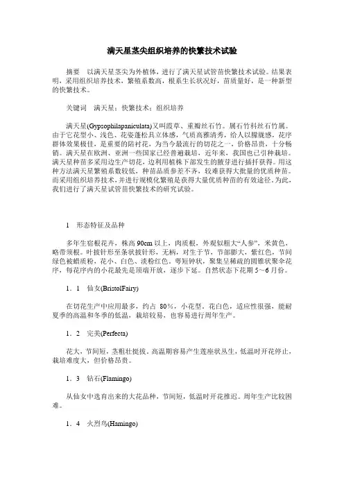 满天星茎尖组织培养的快繁技术试验