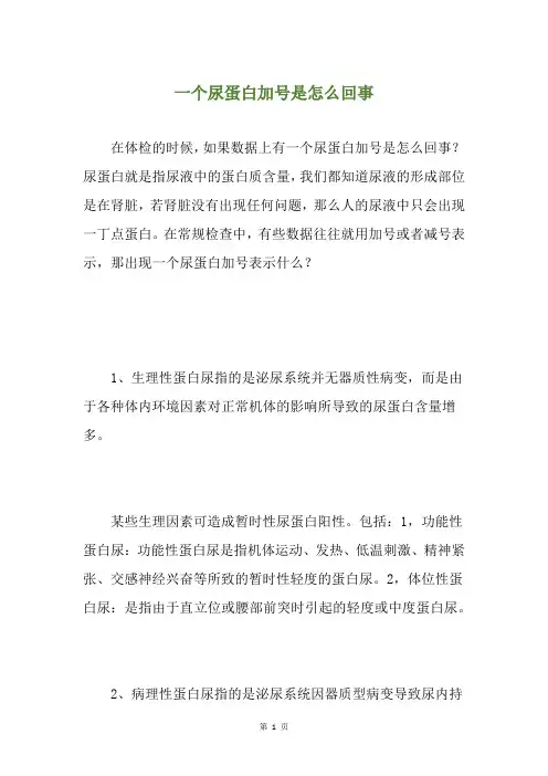 一个尿蛋白加号是怎么回事