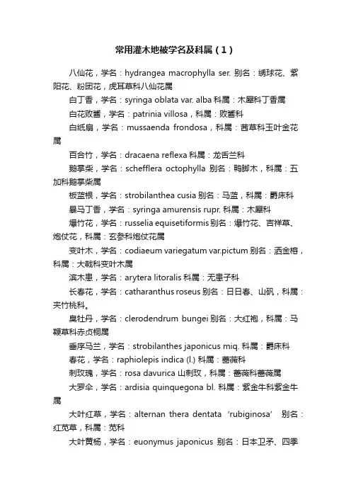 常用灌木地被学名及科属（1）