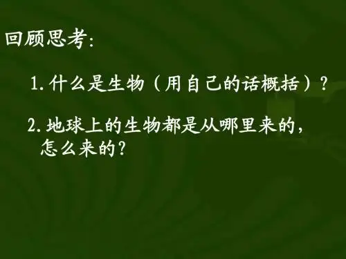第21章 第1节  生命的起源课件