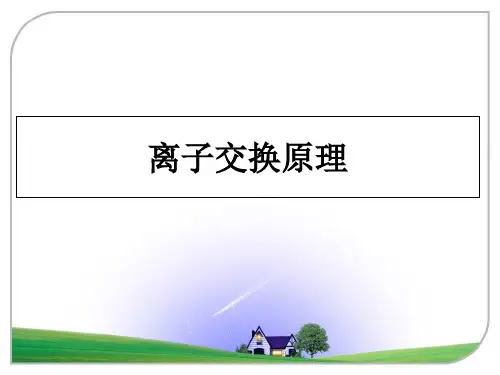 最新离子交换原理课件PPT