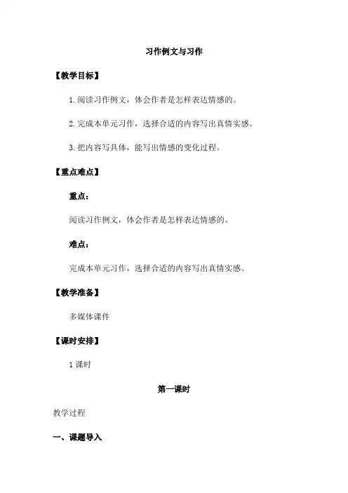 六年级下册语文教案-第三单元 习作例文与习作 人教(部编版)
