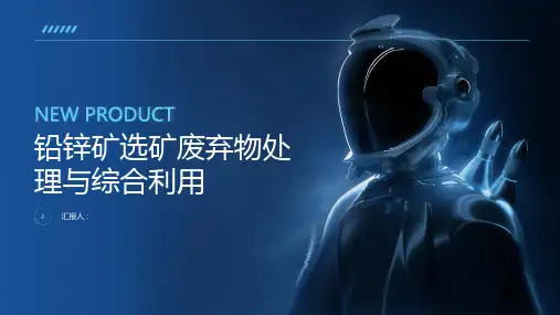 铅锌矿选矿废弃物处理与综合利用