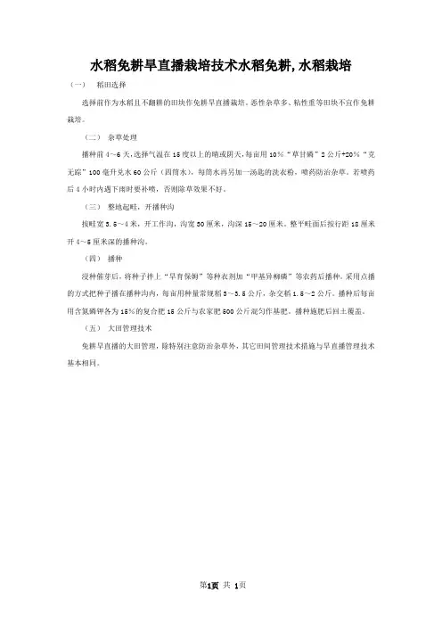水稻免耕旱直播栽培技术水稻免耕,水稻栽培