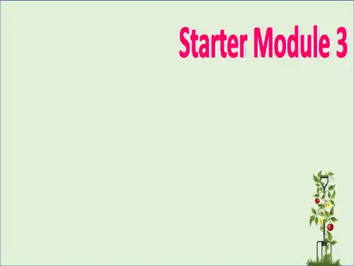英语7年级上外研版：全册精品PPT课件(30份)(含Starter部分)Starter Module 3