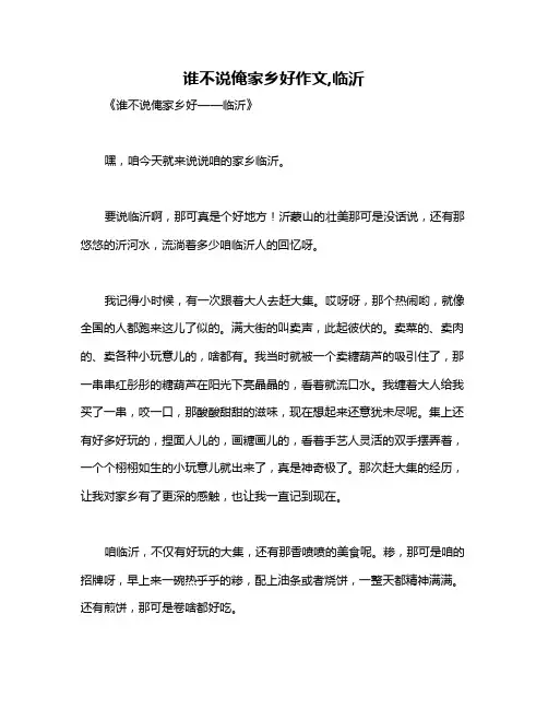谁不说俺家乡好作文,临沂