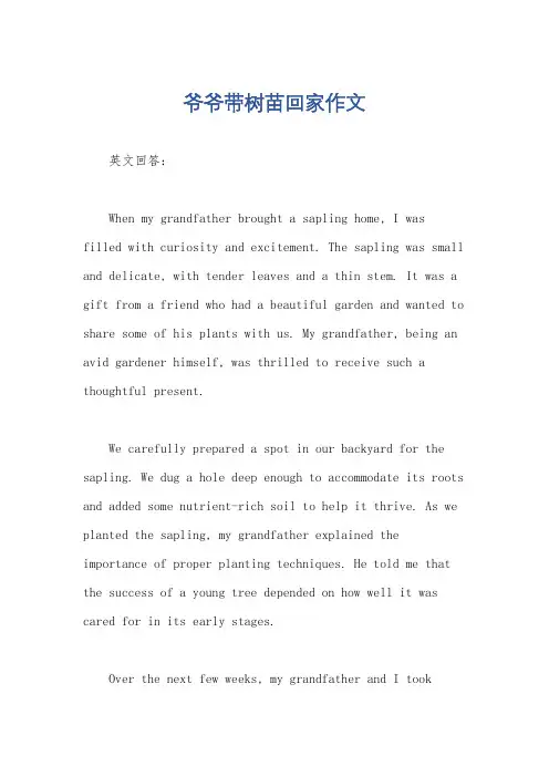 爷爷带树苗回家作文