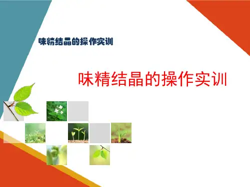 结晶设备的认知与操作