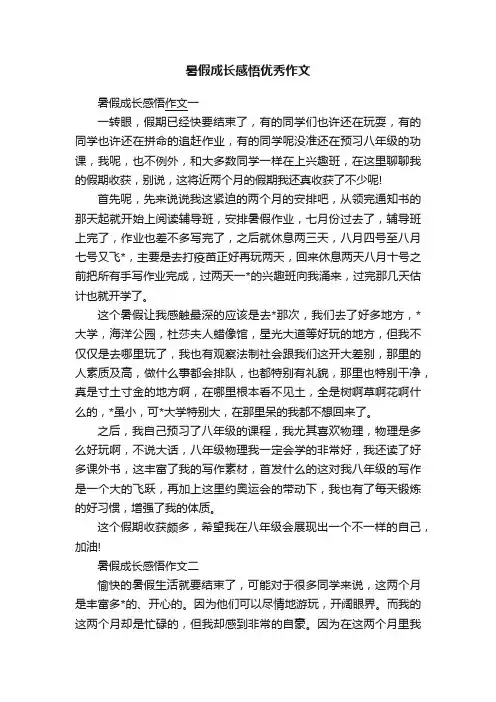暑假成长感悟优秀作文