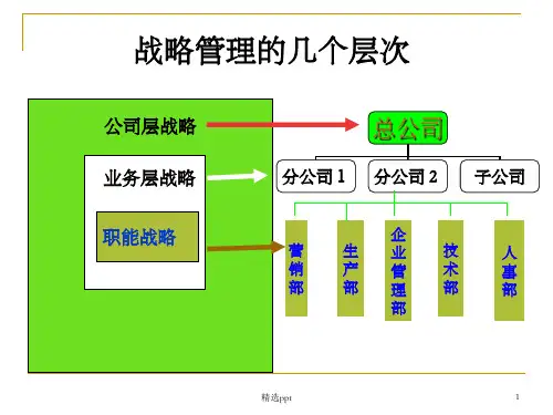 《业务层战略》PPT课件
