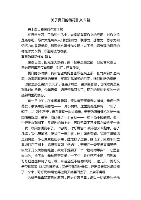 关于夏日的荷花作文5篇