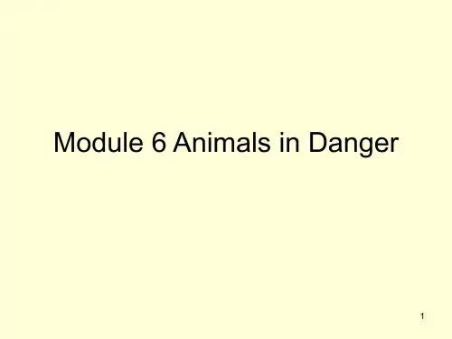 Module 6 Animals in DangerPPT课件