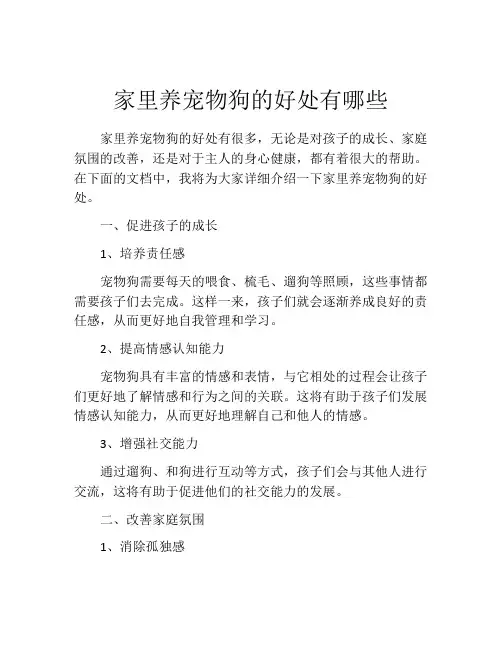 家里养宠物狗的好处有哪些