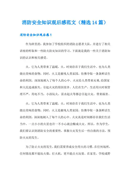 消防安全知识观后感范文(精选14篇)