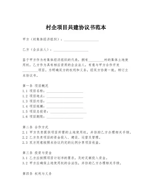 村企项目共建协议书范本