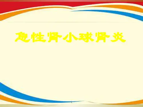 《急性肾小球肾炎》PPT课件