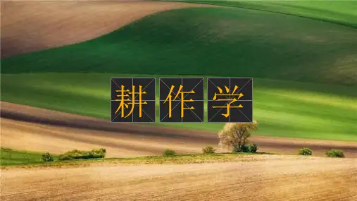 02-作物布局的原则讲义