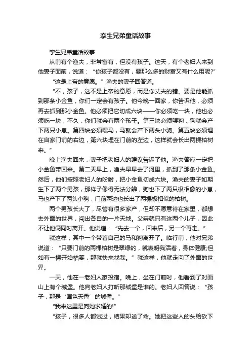 孪生兄弟童话故事