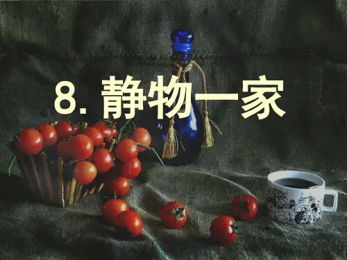 四年级下册美术课件-第八课 静物一家 ︳湘美版   (共15张PPT)