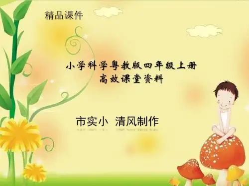 小学科学粤教版四年级上册《从岩石到沙子》课件