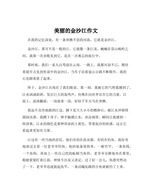 美丽的金沙江作文