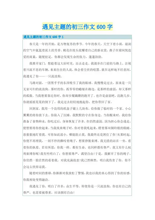 遇见主题的初三作文600字