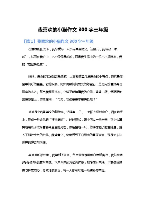 我喜欢的小猫作文300字三年级