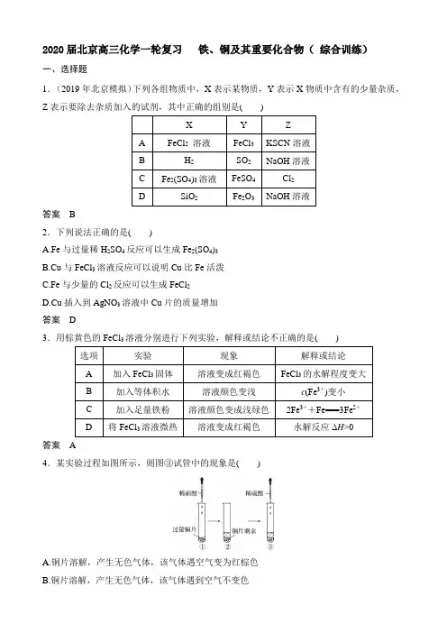 2020届北京高三化学一轮复习   铁、铜及其重要化合物( 综合训练)