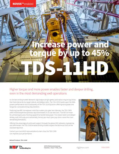 NOV TDS-11HD高效力耐久顶驱说明书