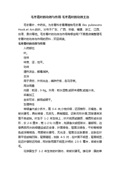毛冬青叶的功效与作用毛冬青叶的功效主治