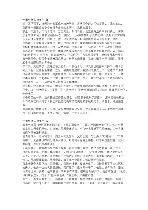 是你给我一把伞 作文600字