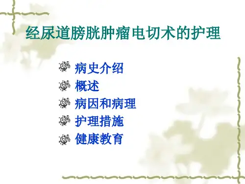 TURBT术的护理医学PPT课件
