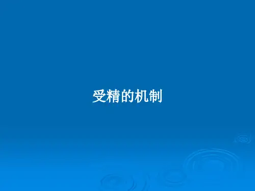 受精的机制PPT学习教案