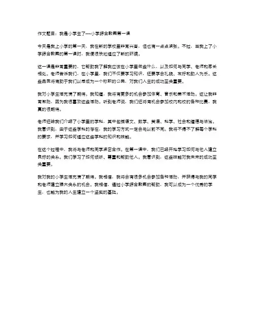 我是小学生了——小学综合教案第一课