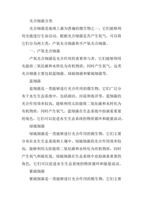 光合细菌分类