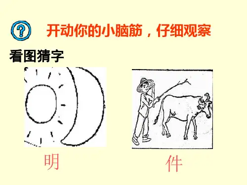 人教版小学语文二年级下26蜜蜂引路精品PPT课件