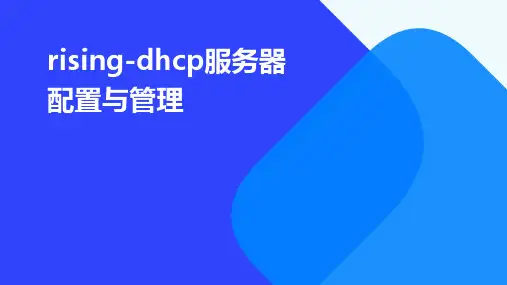 rising-dhcp服务器配置与管理