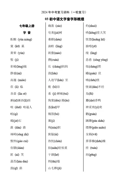 字音字形整理++2024年中考语文一轮复习