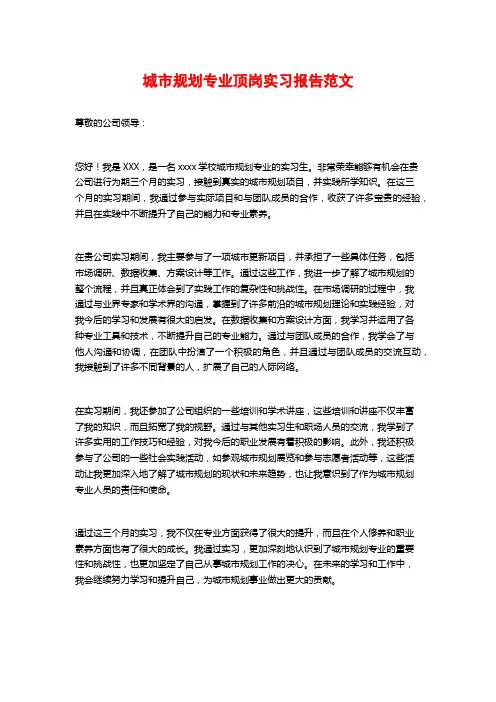 城市规划专业顶岗实习报告范文
