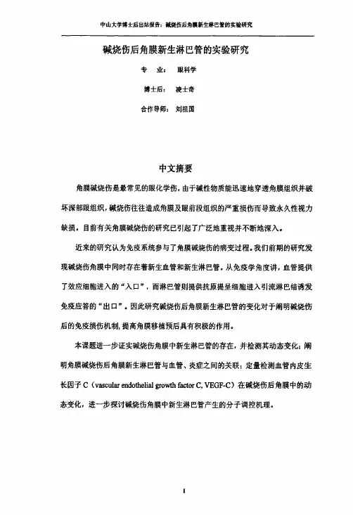 碱烧伤后角膜新生淋巴管的实验探究