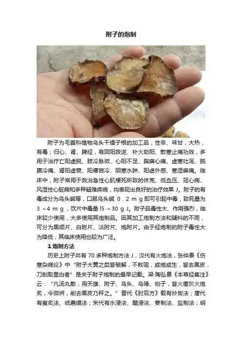附子的炮制