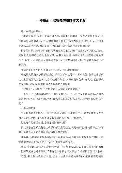 一年级那一双明亮的眼睛作文5篇