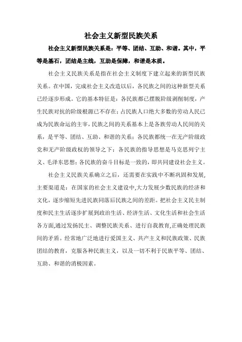 社会主义新型民族关系